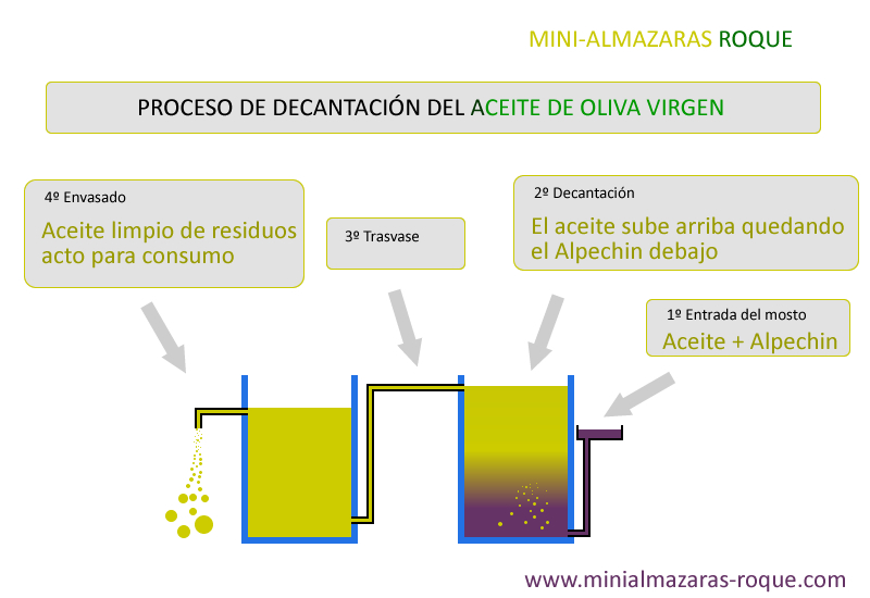Almazaras Roque. Como se hace el aceite de oliva