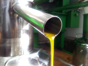 Deposito decantador de aceite de oliva